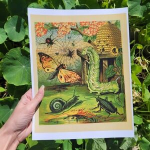 Vintage Insect Illustration Print